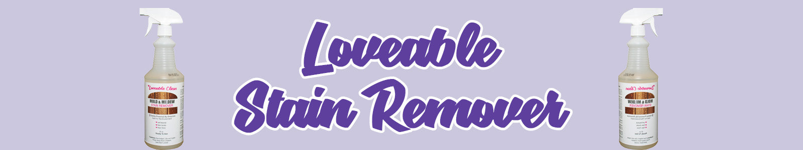 Wood Mold Stain Remover